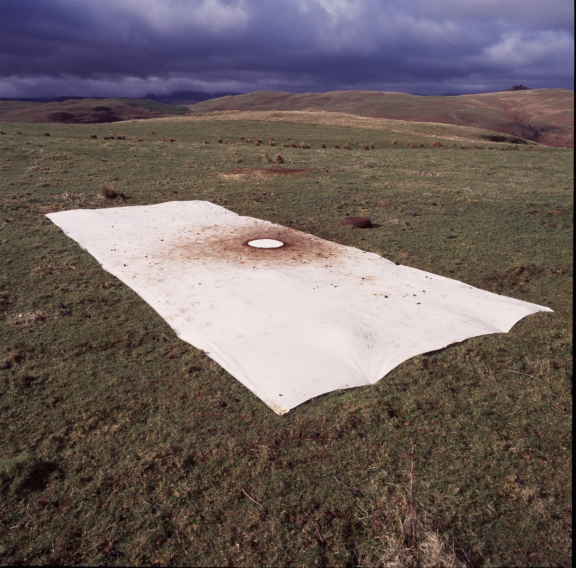 a photograph by Andy Goldsworthy showing a piece of canvas in the northern English countryside, which sheep had been chewing on