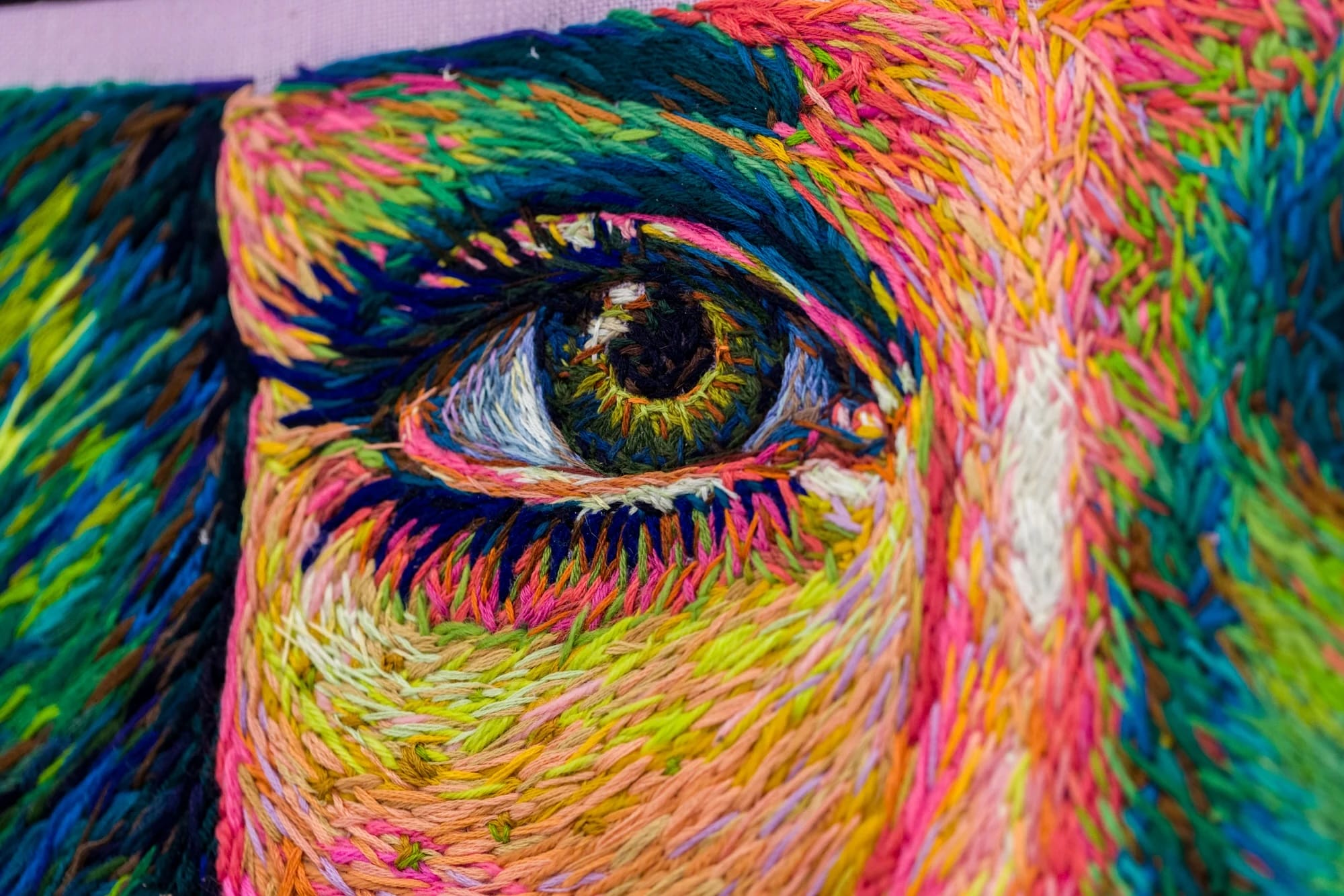 a detail of a crewel embroidery composition by Danielle Clough of a woman's eye