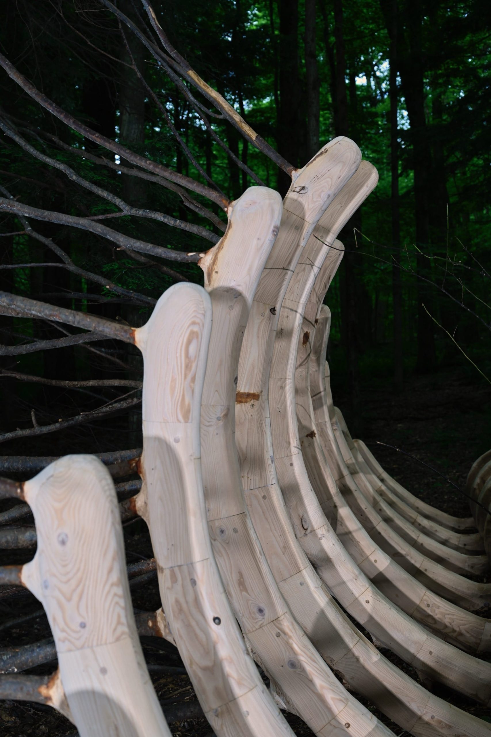 a detail of a sculpture by Hugh Hayden of a giant animal rib cage in the woods