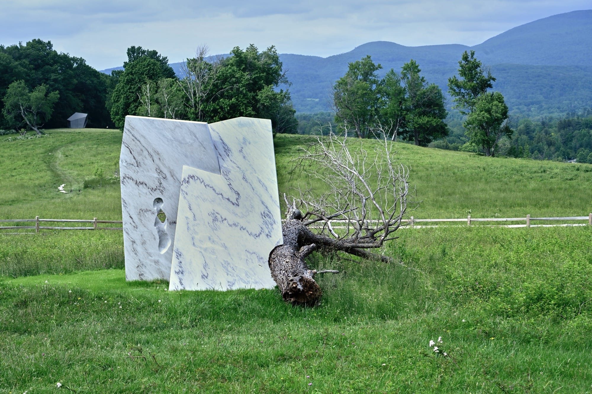 an abstract sculpture by Milena Naef, featuring a found tree bough and a white marble-like mold, in a meadow