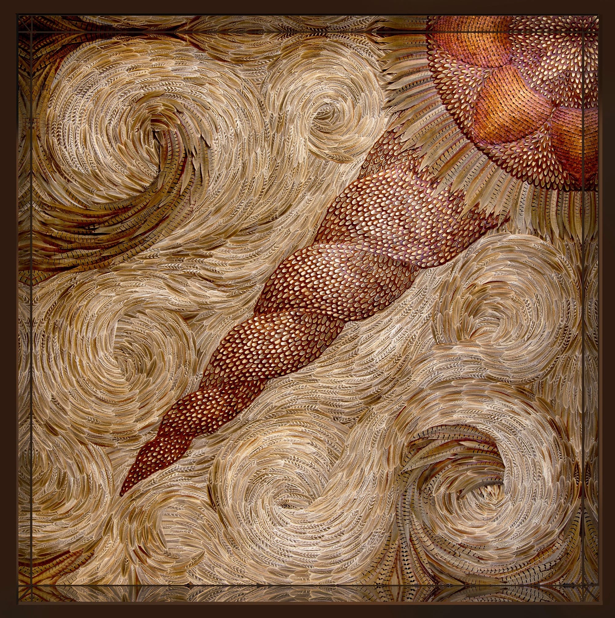 a swirling composition of patterned feathers