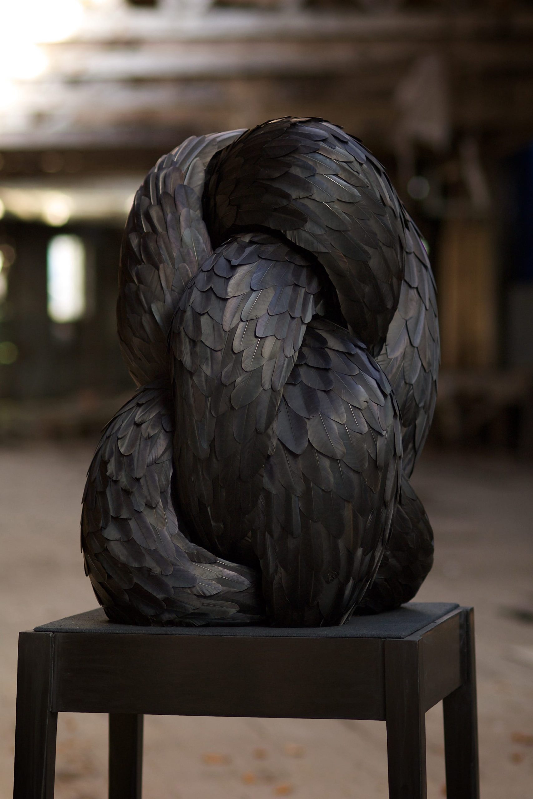 a sculpture made of black feathers that appear to be serpentine and knotted