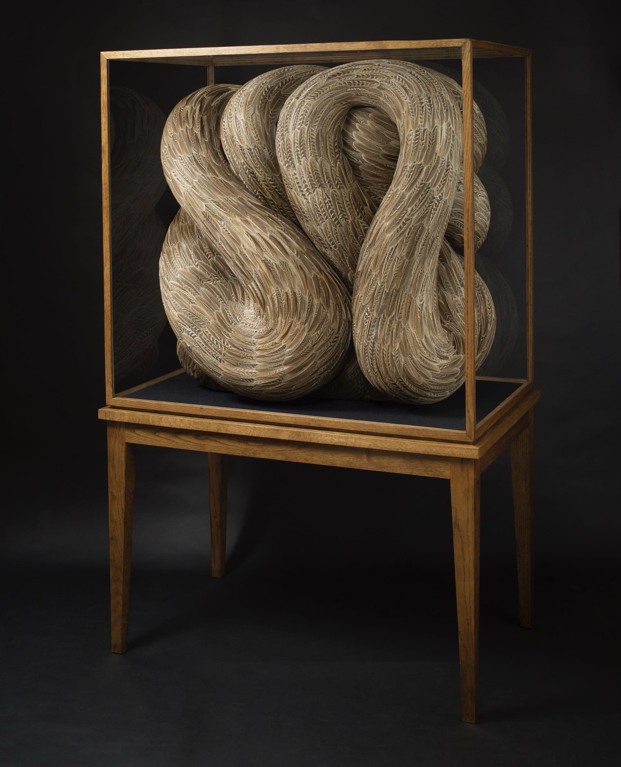a sculpture made of gray feathers that appear to be serpentine and knotted inside of a large wooden vitrine