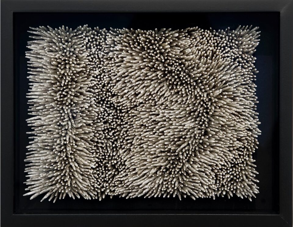 a framed composition of swirling white feather stalks