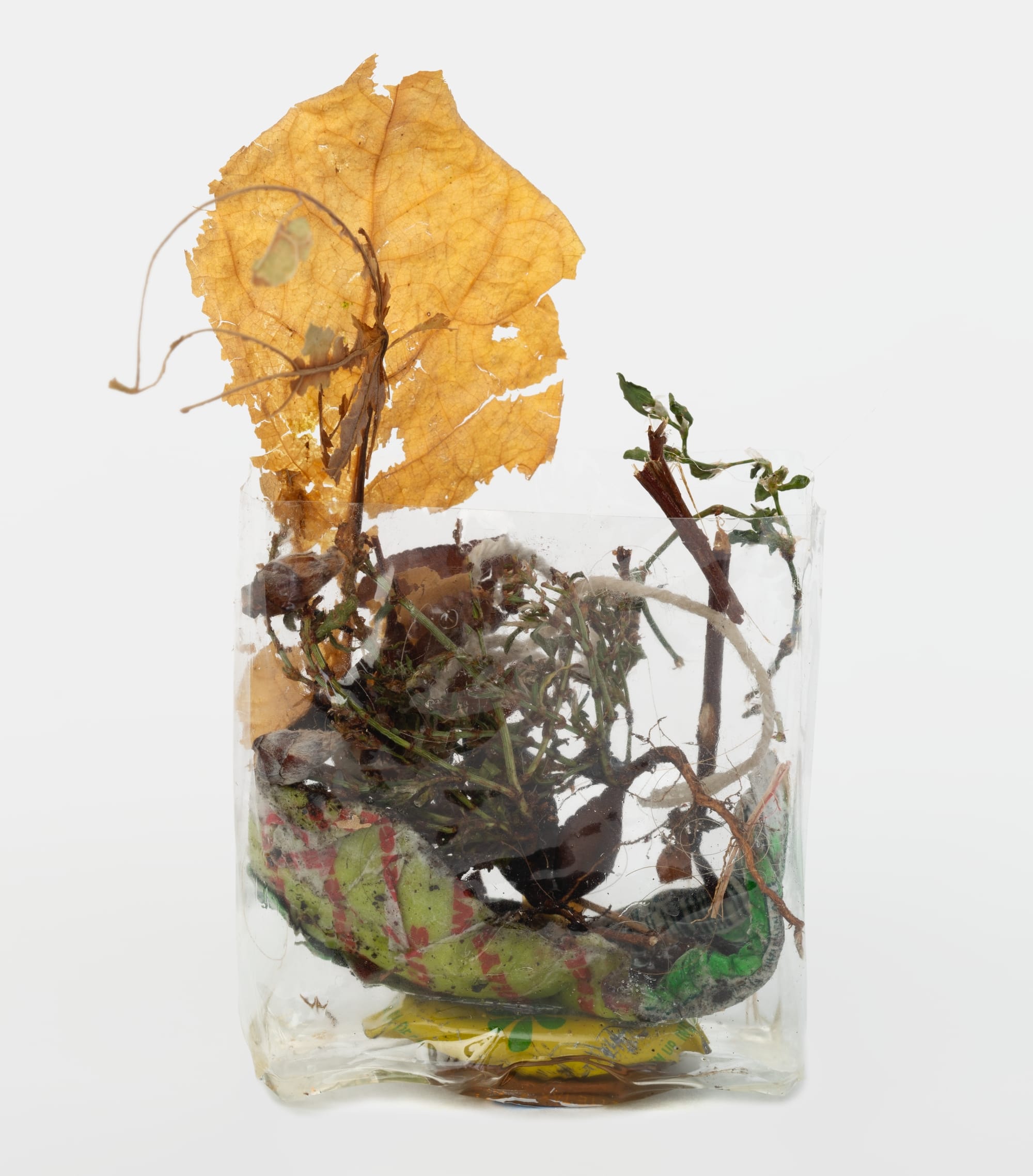 leaves, wrappers, and other refuse in a clear plastic cellophane wrapper