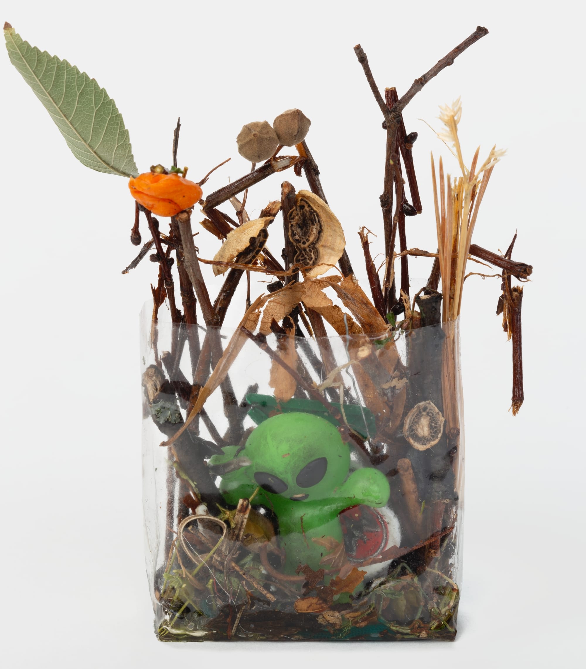 leaves, wrappers, a green alien toy, and other refuse in a clear plastic cellophane wrapper