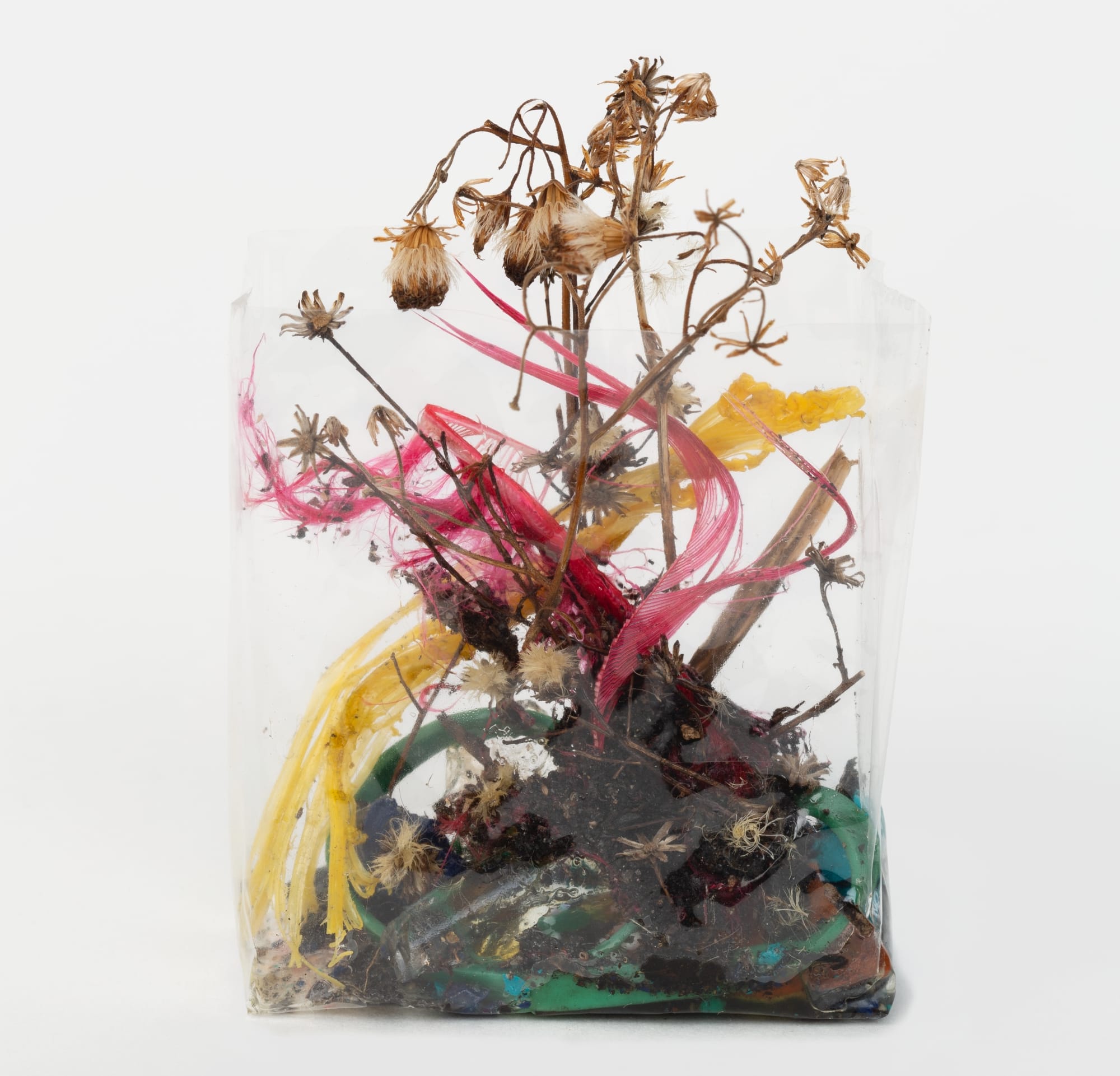 leaves, dried plants wrappers, and other refuse in a clear plastic cellophane wrapper