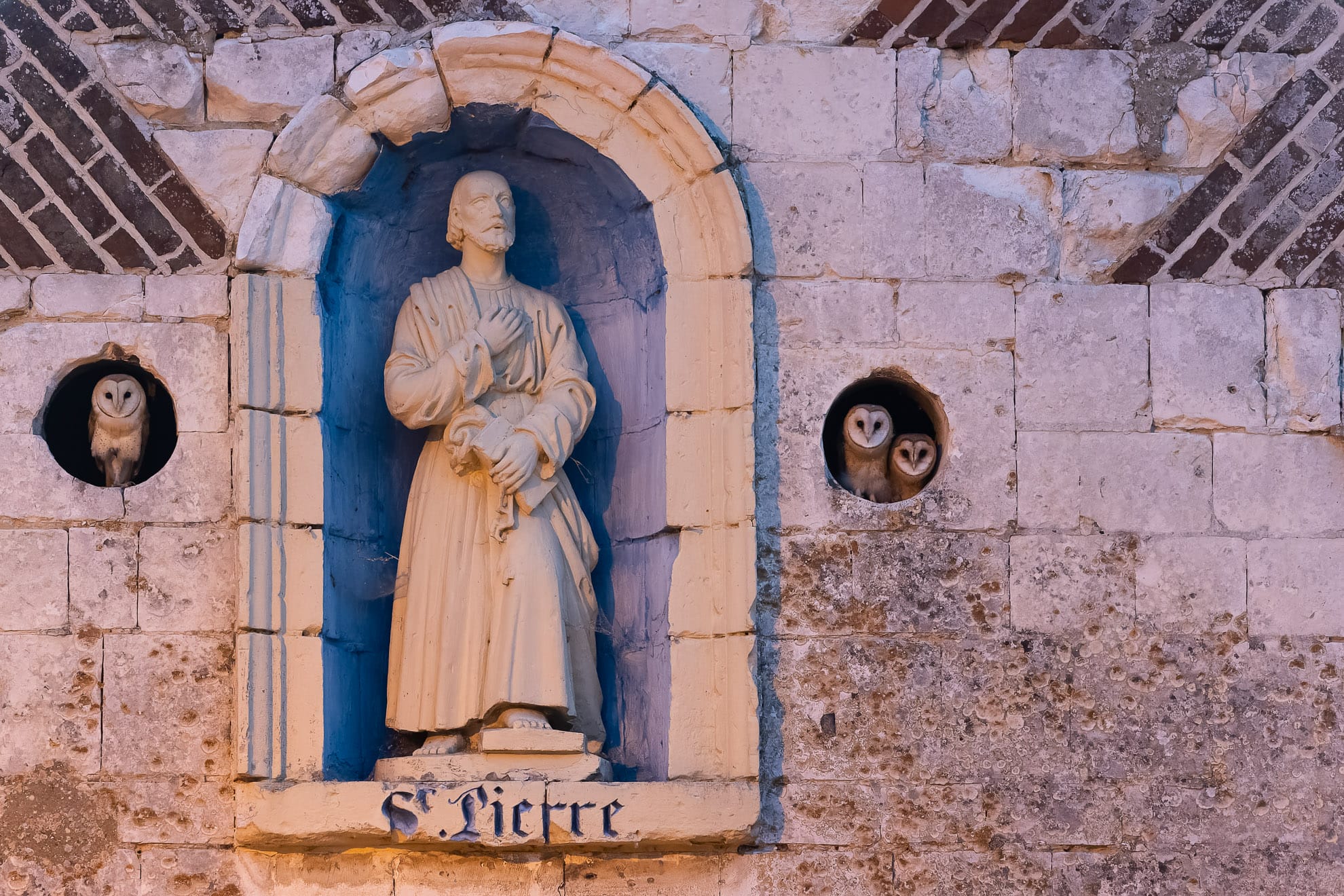 a photo of a niche on a French church with two holes in the walls, which have barn owls looking out