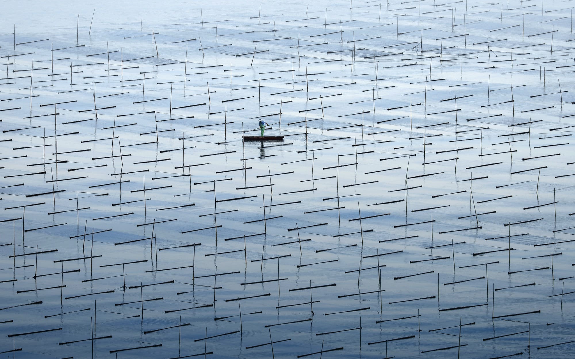 a person standing on a boat amid a watery aquaculture area