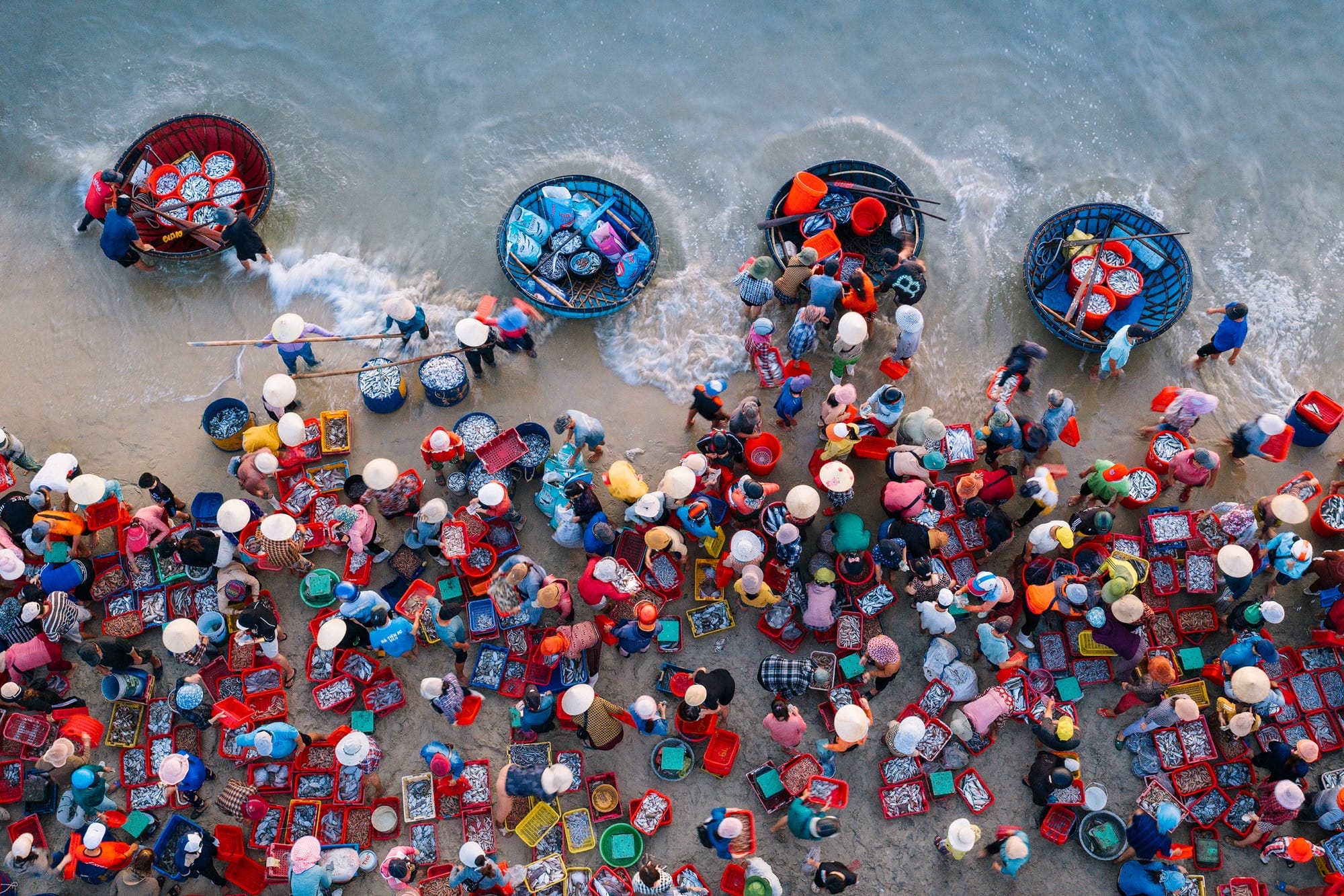 an aerial view showing people gathered on a beach with buckets and rafts of fish