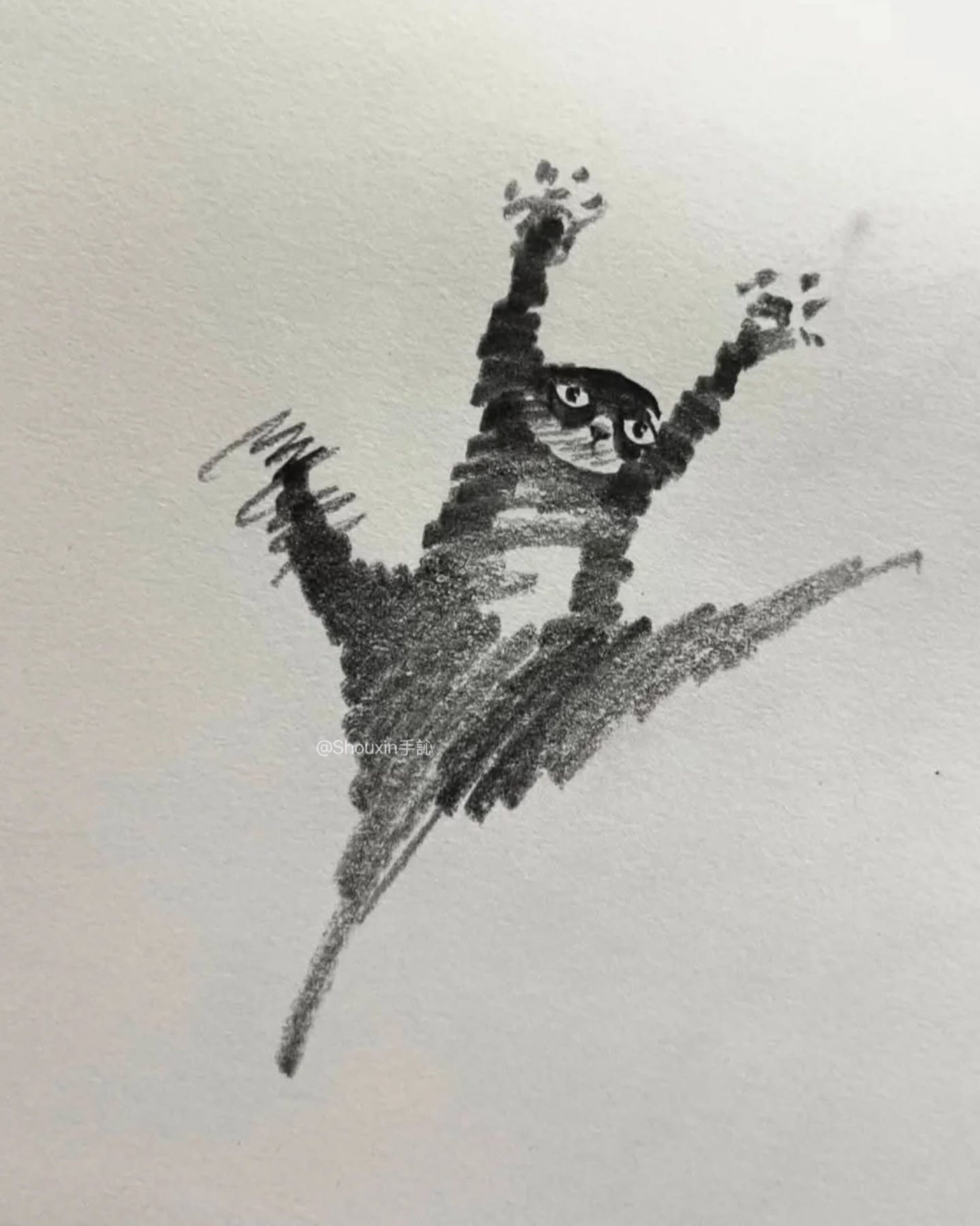 a small graphite drawing by ShouXin of a scared cat, made with emphatic pencil strokes