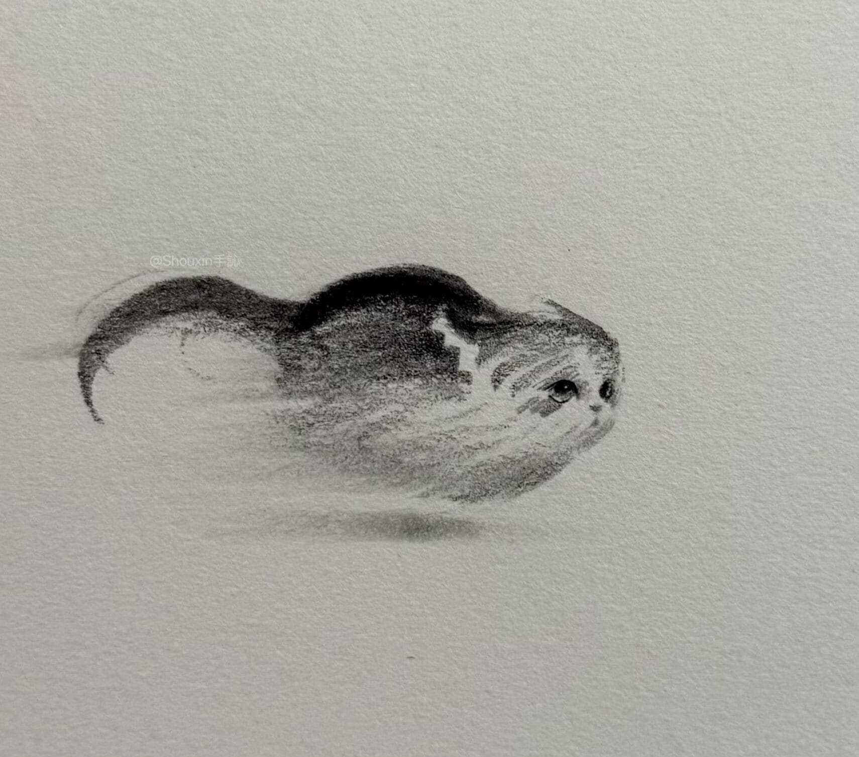 a small graphite drawing by ShouXin of a zooming cat, made with emphatic pencil strokes