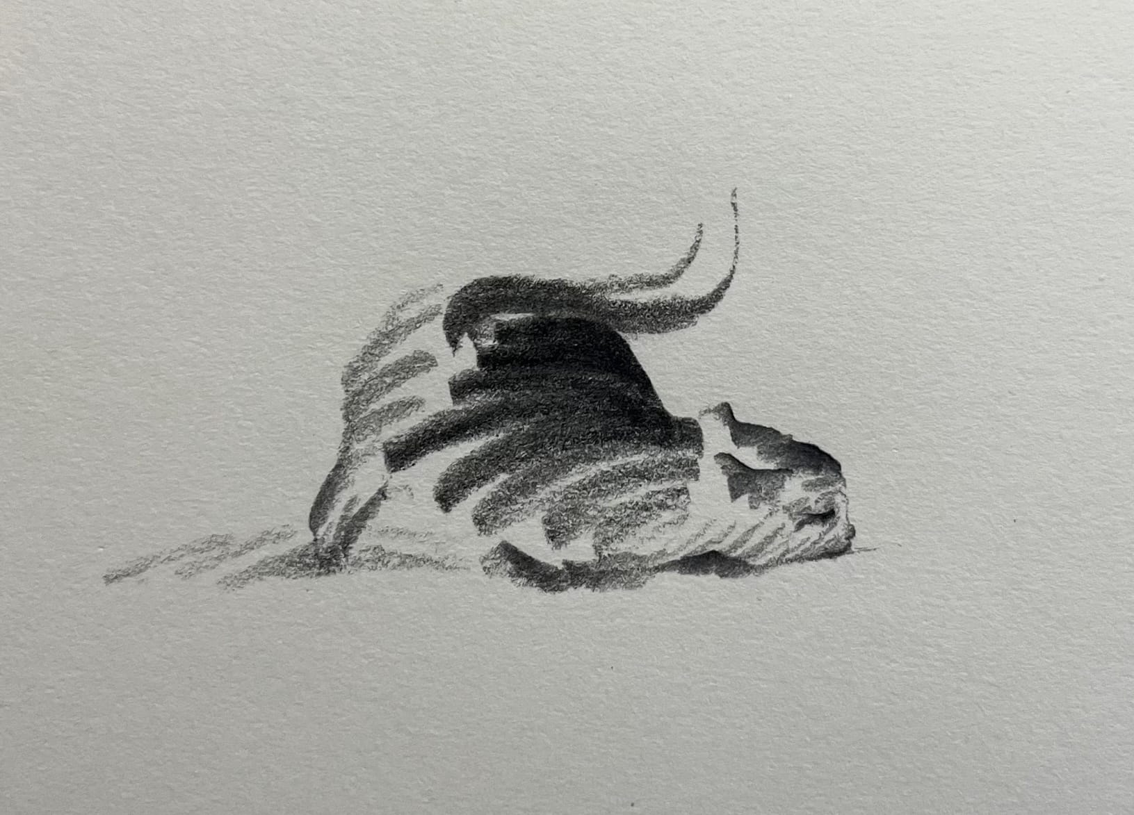 a small graphite drawing by ShouXin of a cat, made with emphatic pencil strokes