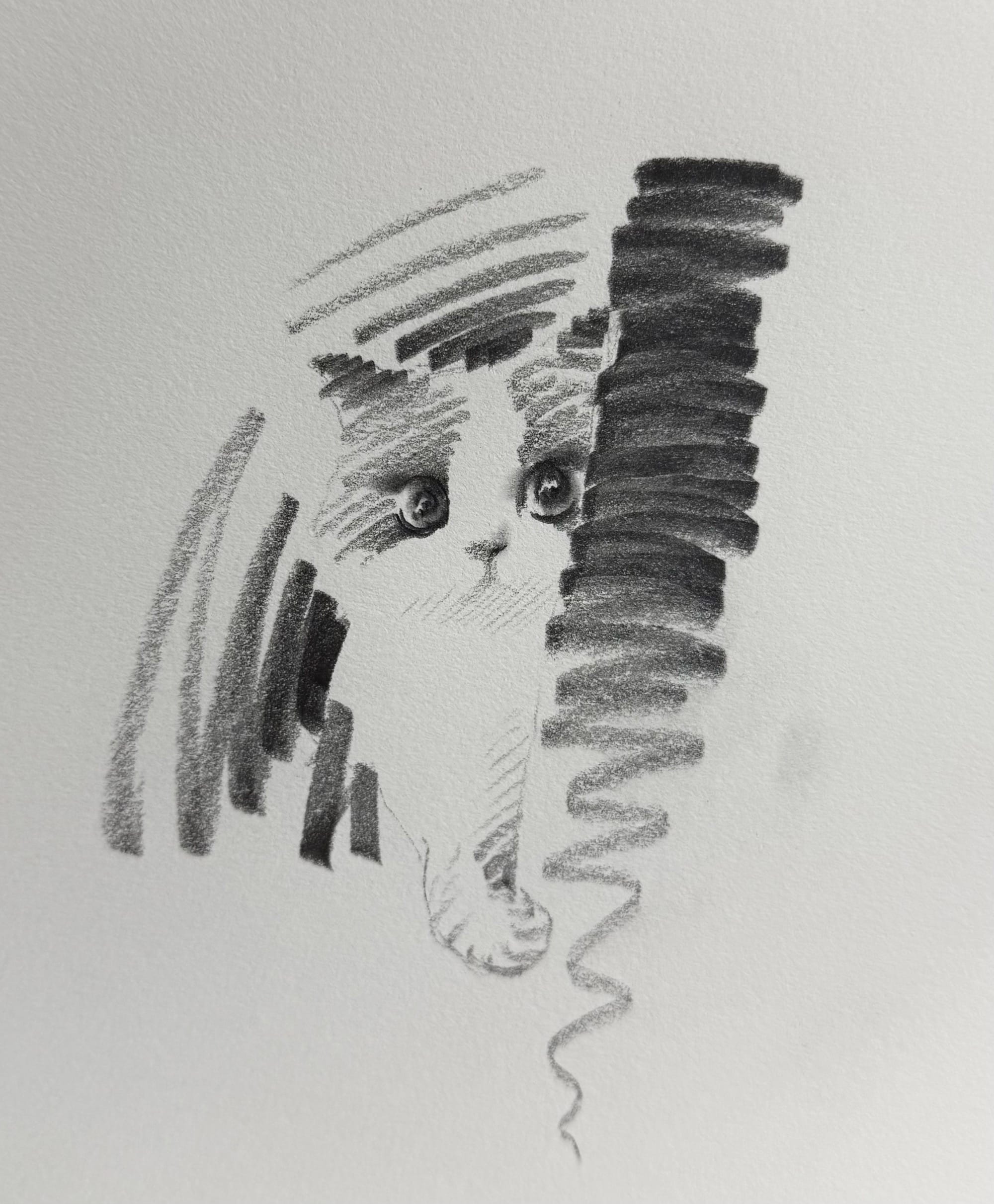 a small graphite drawing by ShouXin of an expressive cat, made with emphatic pencil strokes