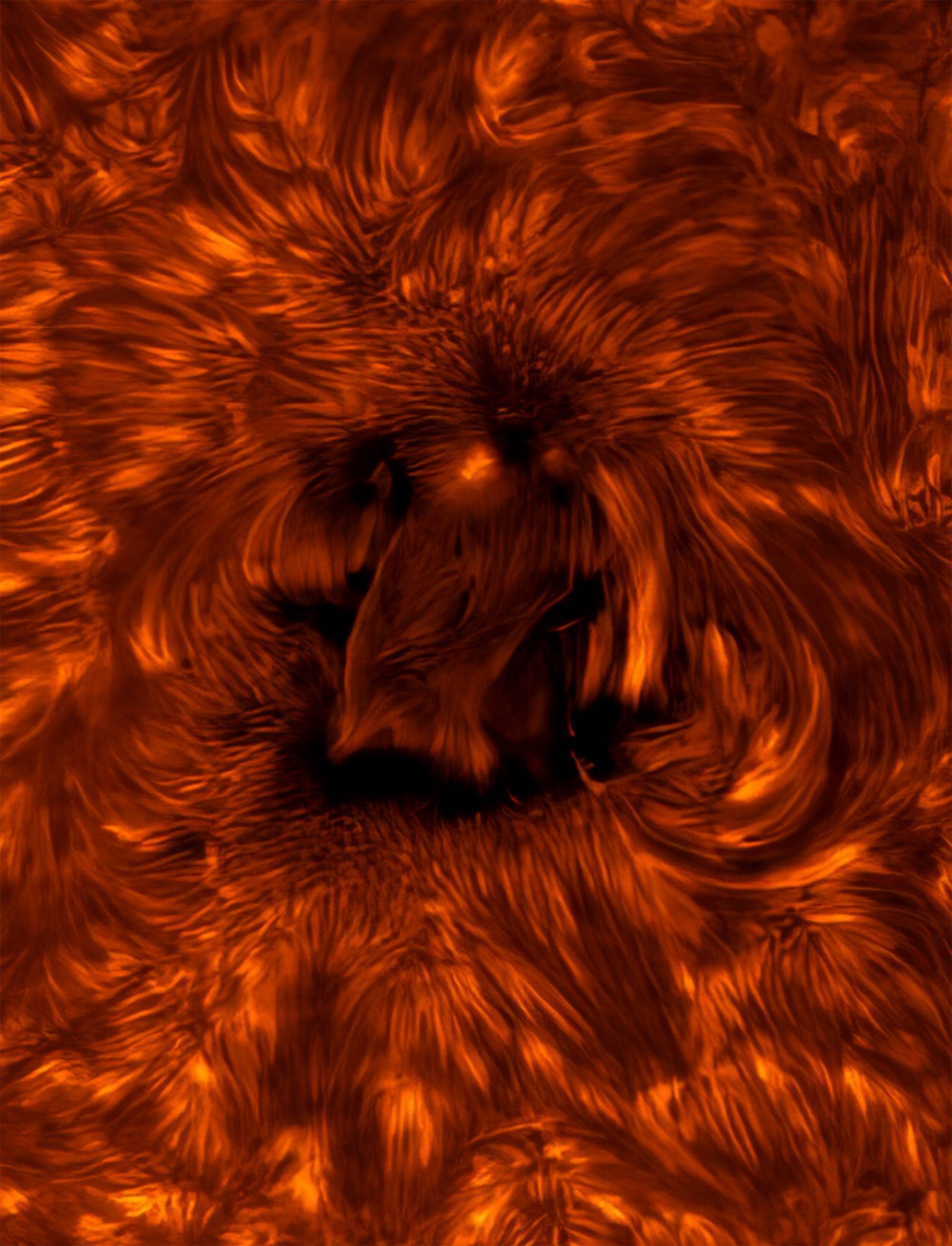 a close-up photo of a region on the sun's chromosphere
