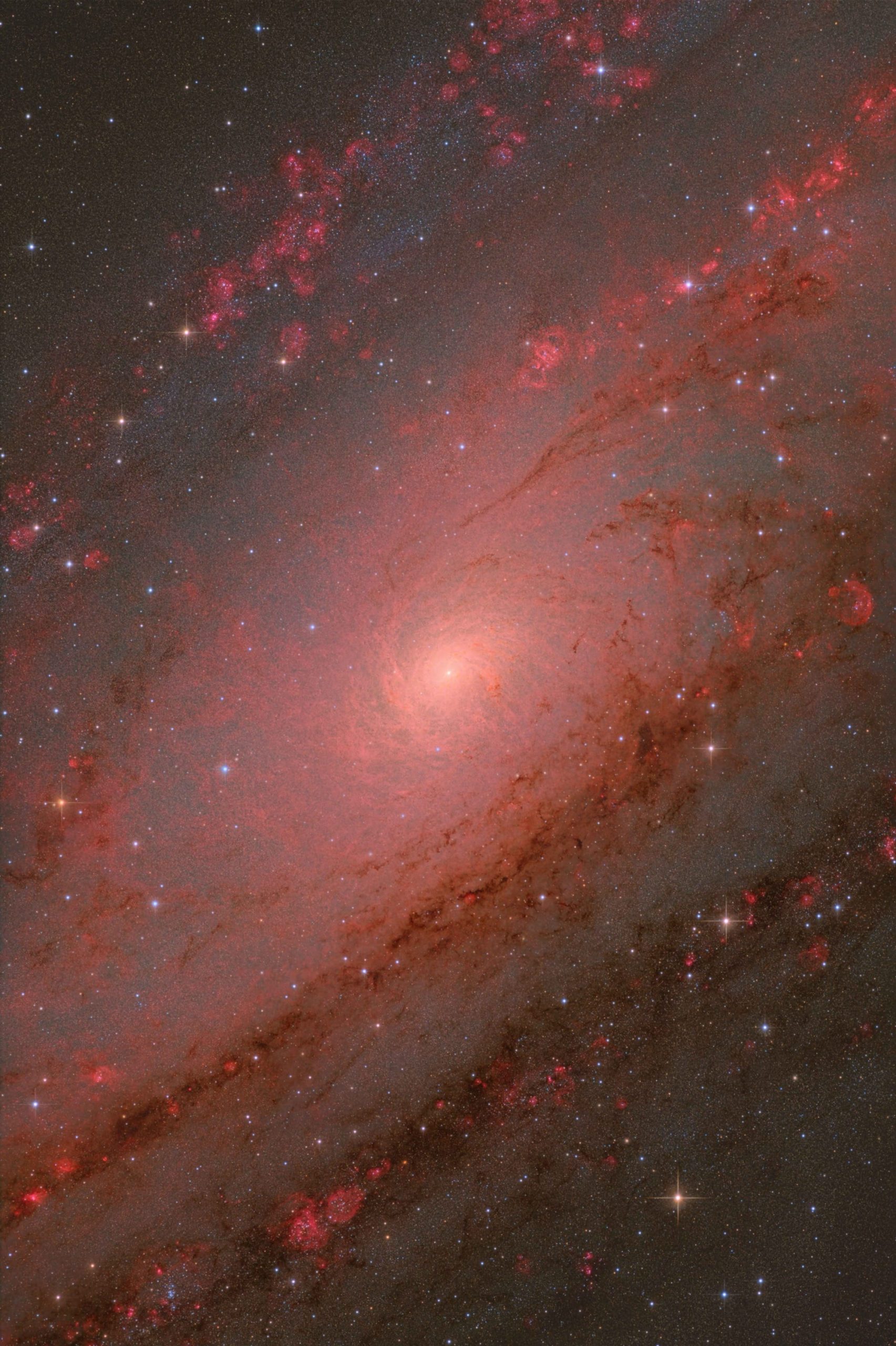 a beautiful photo of the Andromeda galaxy