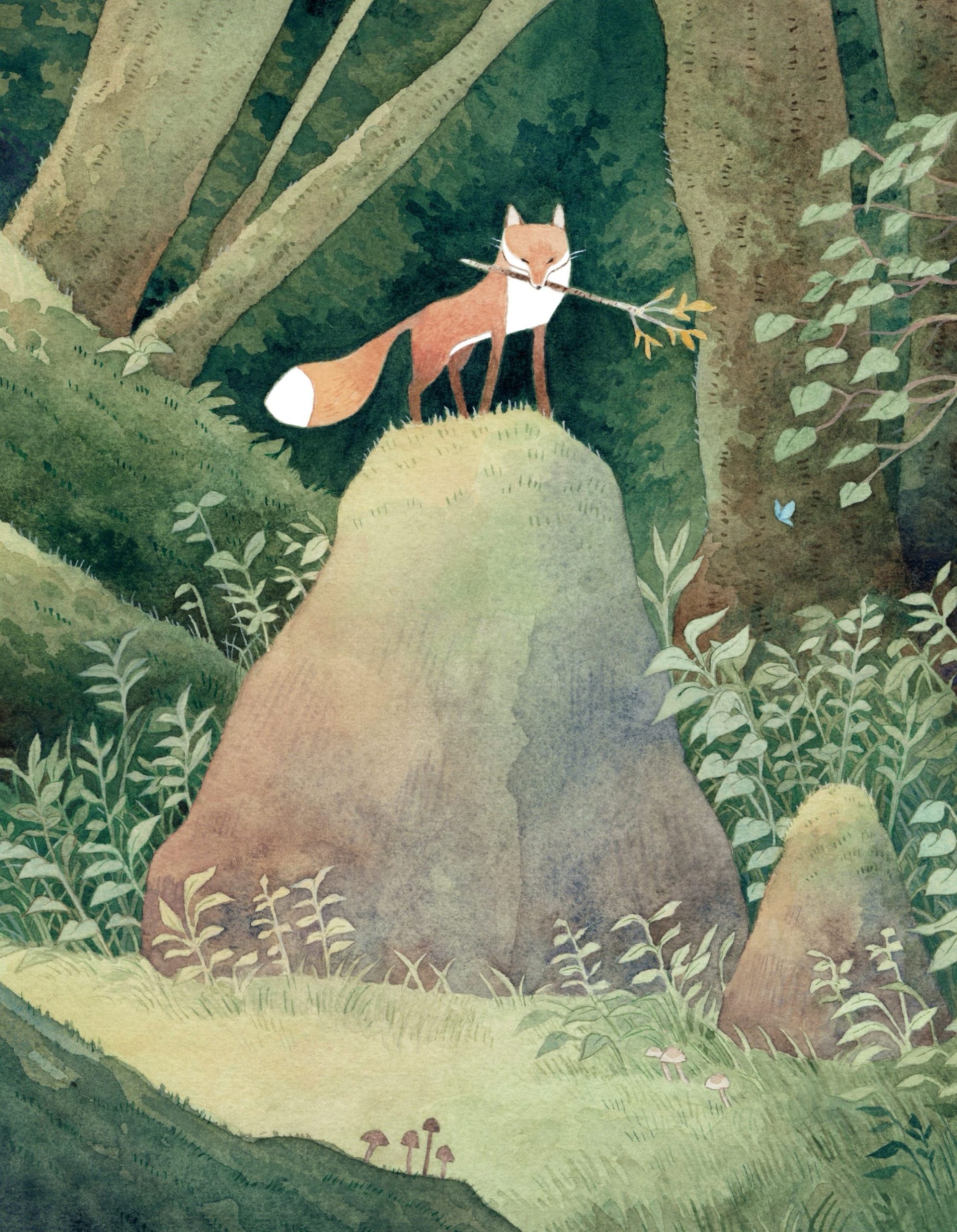 a watercolor illustration by Vanessa Gillings of a fox with a twig in its mouth, standing on top of a grassy, rocky outcrop in a wood