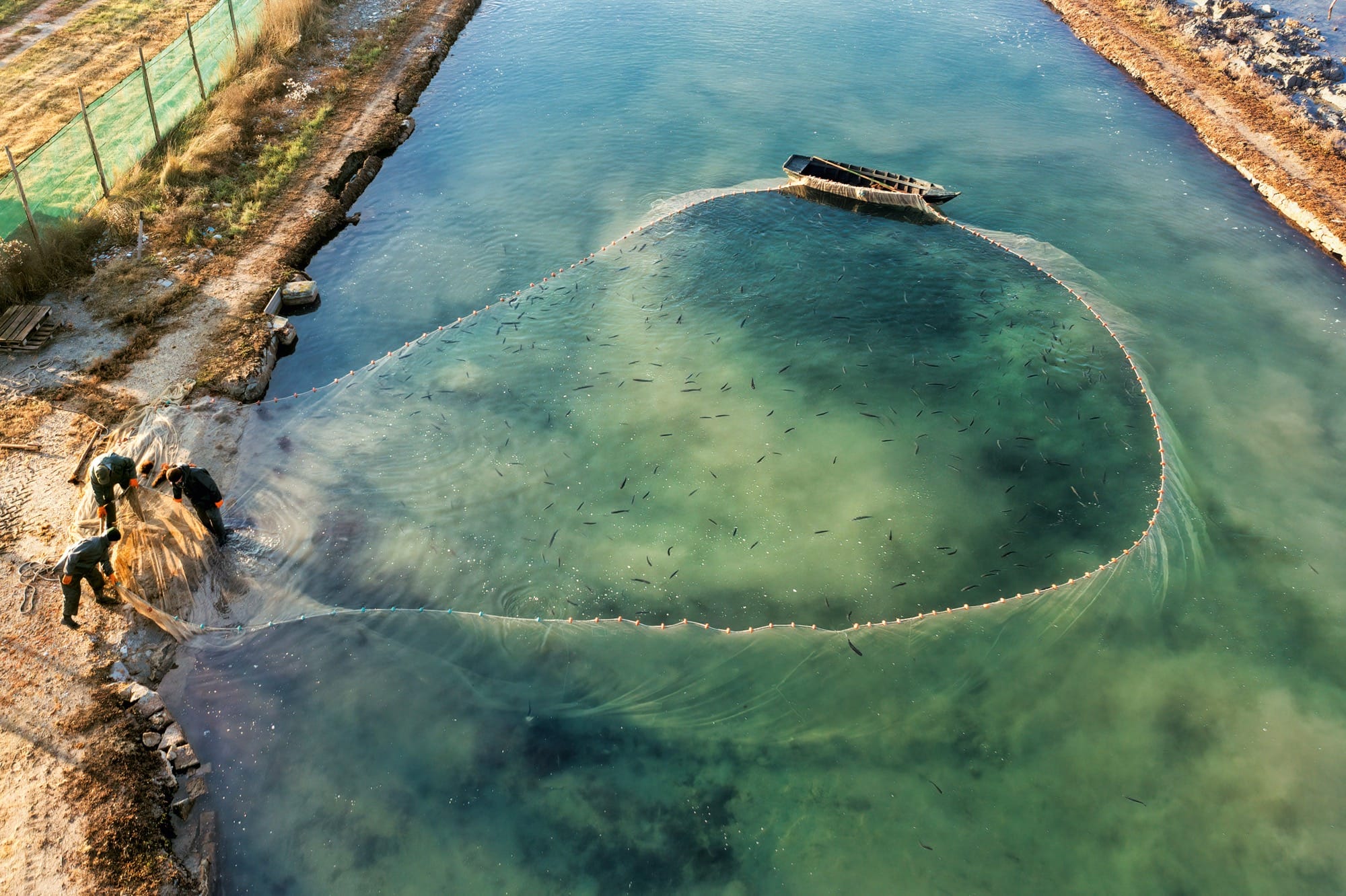 an aerial photo of Valentina Rocco of a boat casting a net in a pond