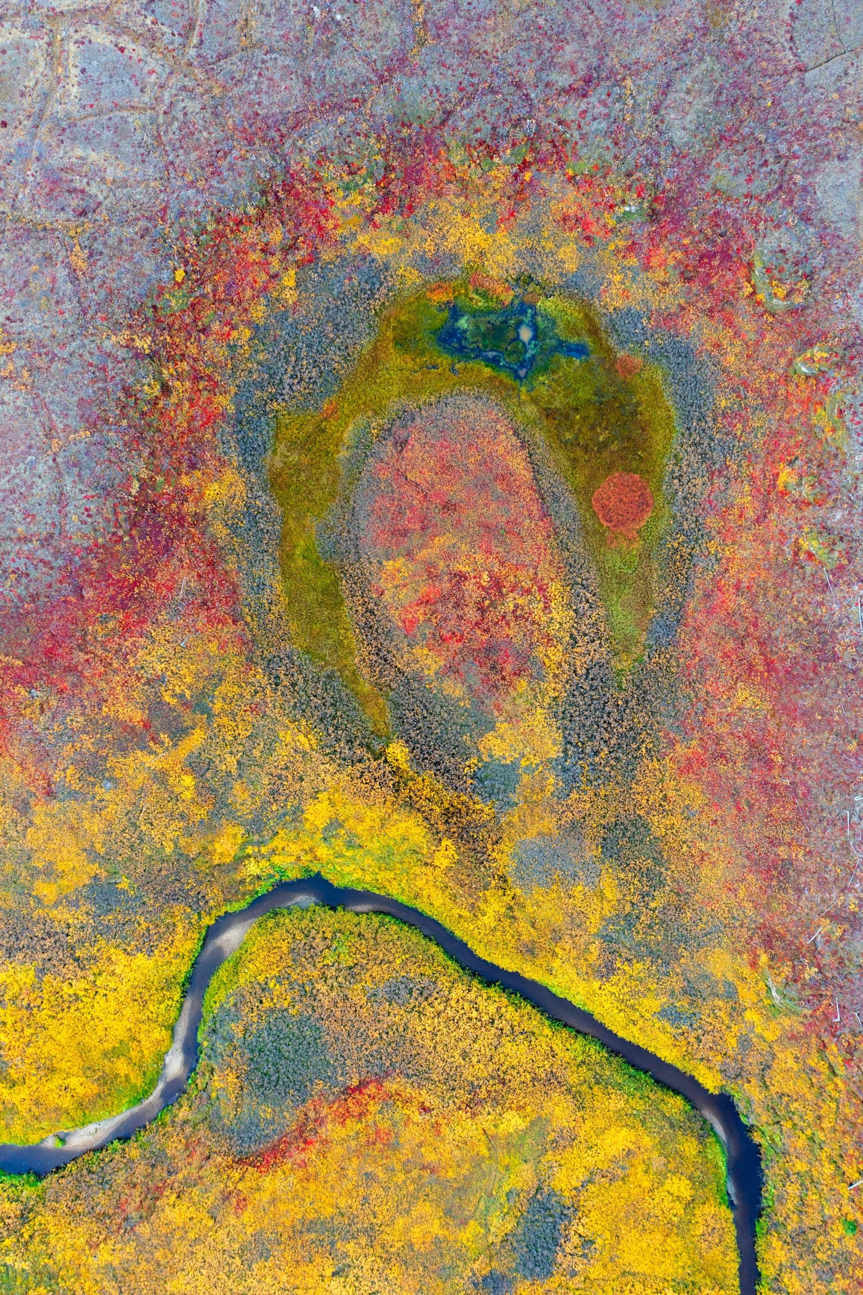 a photo by Alexey Kharitonov of a Russian swamp showing waterways edged with bright green grass that gave way to golden shrubs and a landscape sprinkled with the crimson blaze of alpine bearberry and bog blueberry